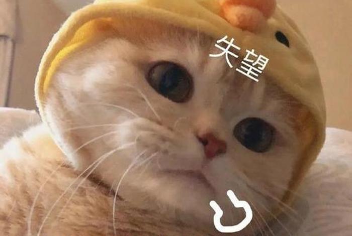 生活我表情包图片、生活我表情包图片大全 生活我表情包图片、生活我表情包图片大全