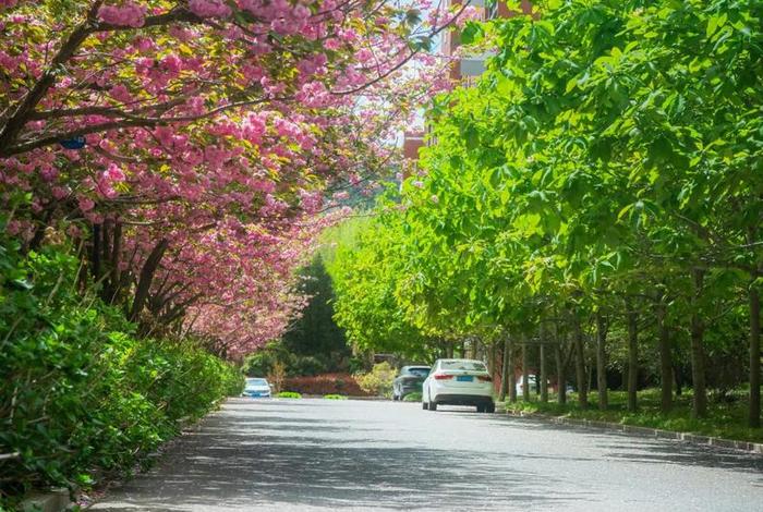 大学生活的图片素材，大学生活图片唯美