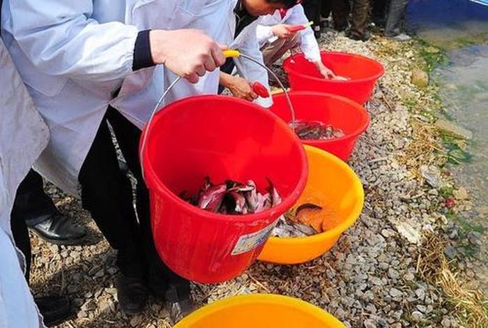 放生活动违法吗；放生是否违反法律规定