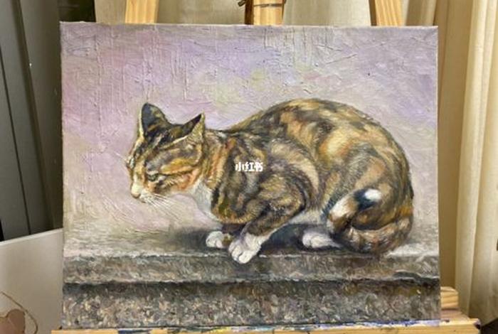 流浪猫的图片大全 流浪猫图画 流浪猫的图片大全 流浪猫图画