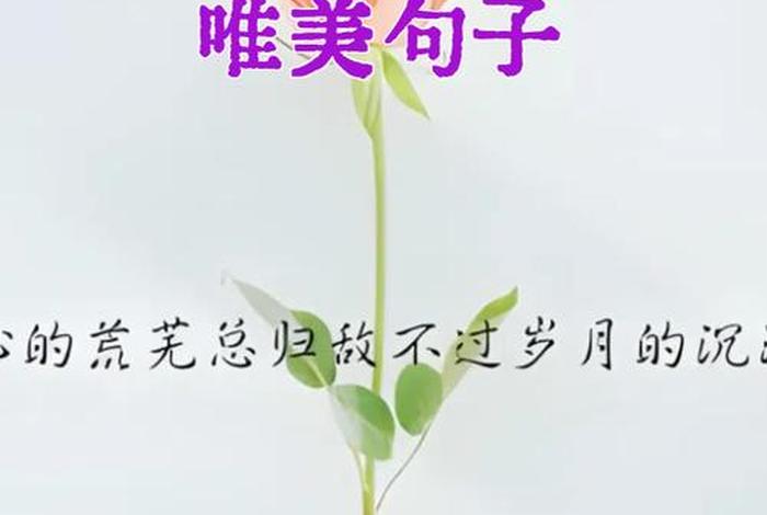 追求美好生活的向往、追求美好生活的句子