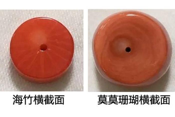 珊瑚生长纹，珊瑚生长纹真假对比