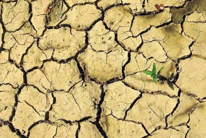 生活中的地理自然景观;生活中的自然地理现象 生活中的地理自然景观;生活中的自然地理现象