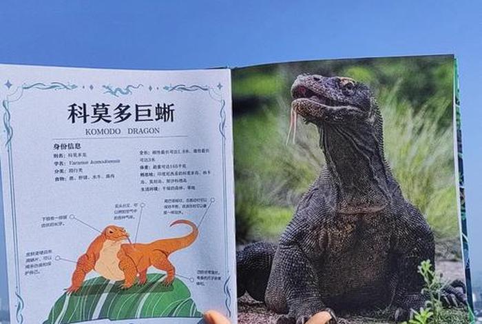 龙在什么地方生存 - 龙在哪里生长 龙在什么地方生存 - 龙在哪里生长