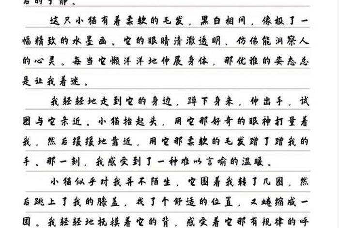 爱猫生活申请，爱猫生活申请理由怎么写