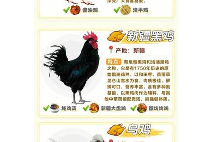 鸡的生活习性是什么,鸡的生活特点 鸡的生活习性是什么,鸡的生活特点