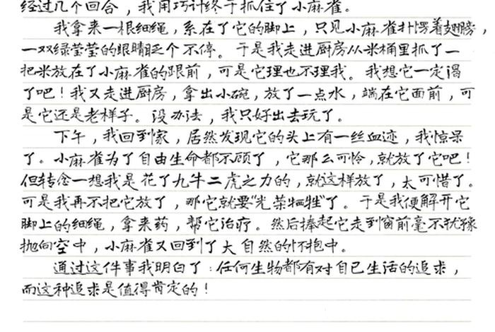 生活中的一件事作文400字，生活中的一件事作文400字作文四年级