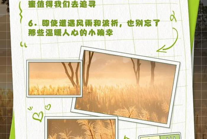 调剂生活节奏、调剂生活,让生活不单调的说说