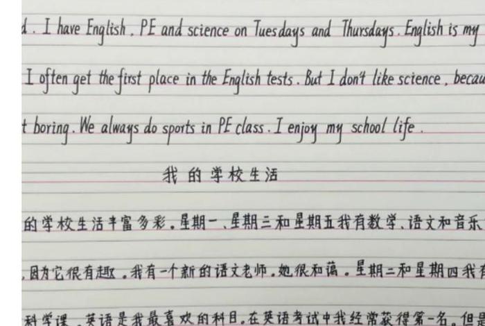 学校生活的英文怎么写 学校生活英文单词怎么写