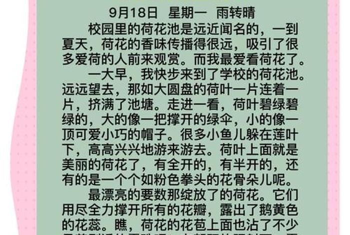 生活趣味作文300字 - 生活趣味作文300字怎么写