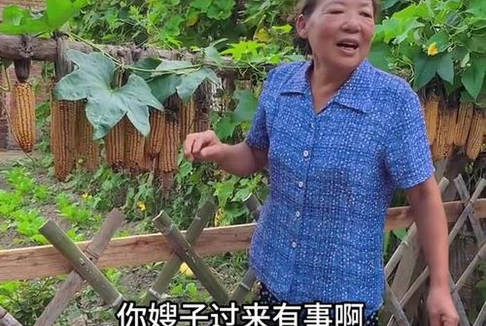 阿军的生活日记全集,阿军的农村生活好看视频 阿军的生活日记全集,阿军的农村生活好看视频