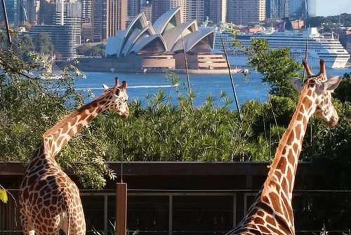 澳大利亚的生活的真实状况、澳大利亚现实生活怎样 澳大利亚的生活的真实状况、澳大利亚现实生活怎样