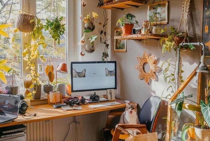 有品质的生活是什么样的、很有品质的生活 有品质的生活是什么样的、很有品质的生活