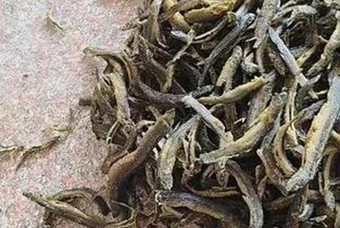 泥鳅生活温度，泥鳅最低生存温度