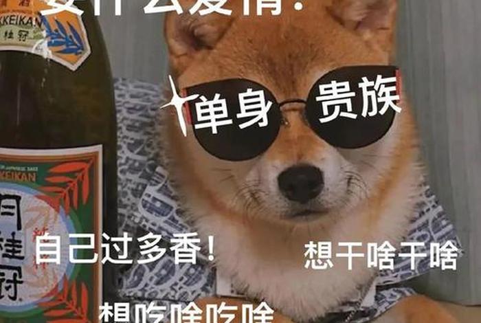 单身主义日常，什么叫单身主义者