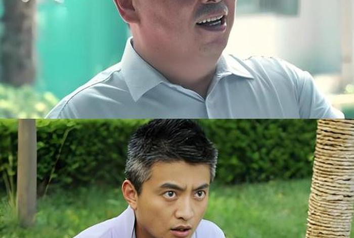 杨光的新生活 杨光的新生活玲玲是谁演的