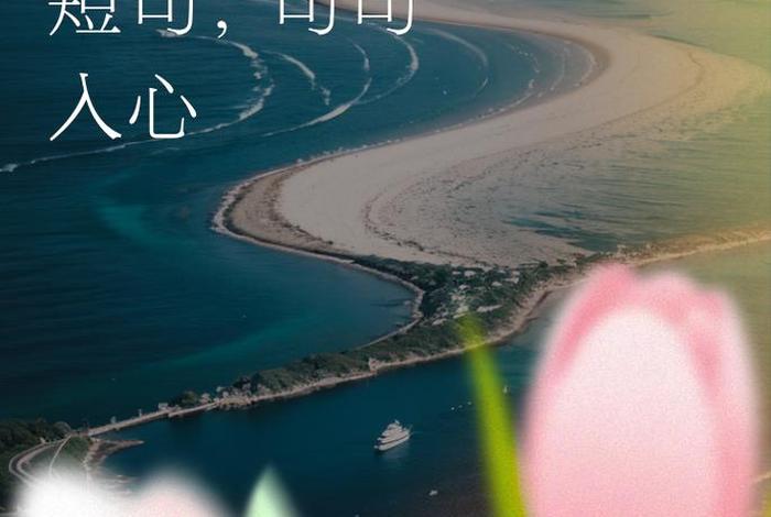 生活经典语句简短(生活经典语录太经典了) 生活经典语句简短(生活经典语录太经典了)