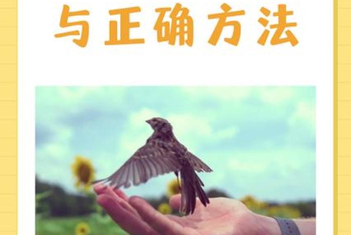 放生活动是指什么 - 放生活动主题 放生活动是指什么 - 放生活动主题