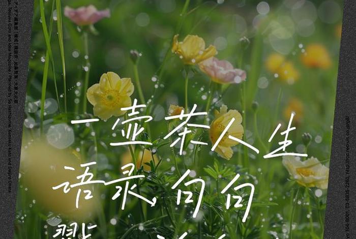 生活是水,祝福是茶(生活就像茶水) 生活是水,祝福是茶(生活就像茶水)