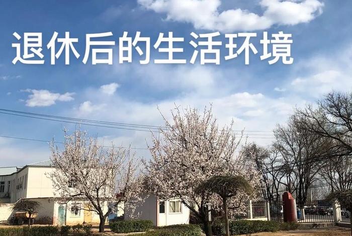 赞美退休后闲适的生活、赞美退休生活很充实的