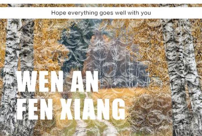 live生活可数吗,life生活可数吗 live生活可数吗,life生活可数吗