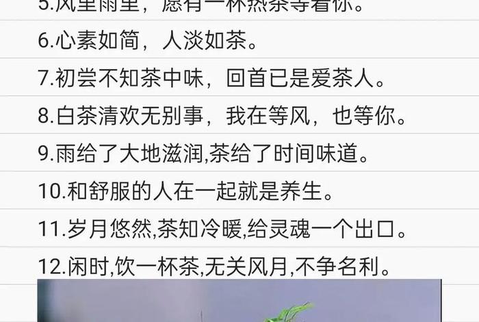 生活与茶的关系 生活与茶的诗句与名言