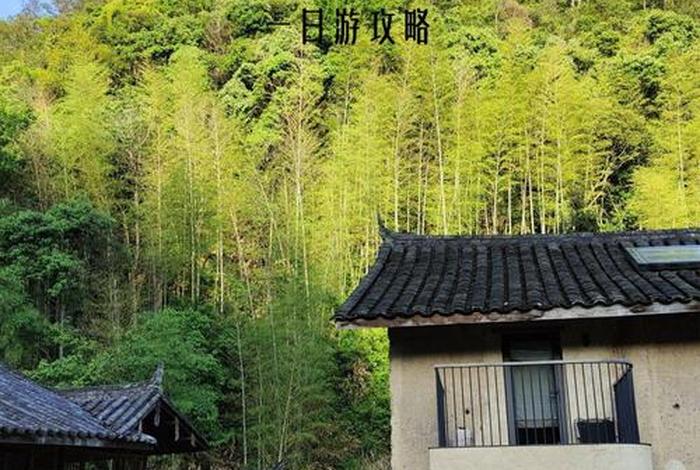 温州的生活情况；温州生活怎么样