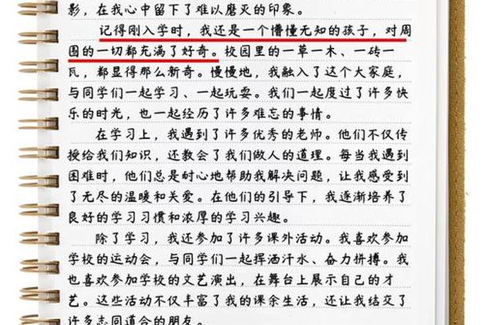 难忘小学生活作文开头、难忘小学生活作文开头结尾