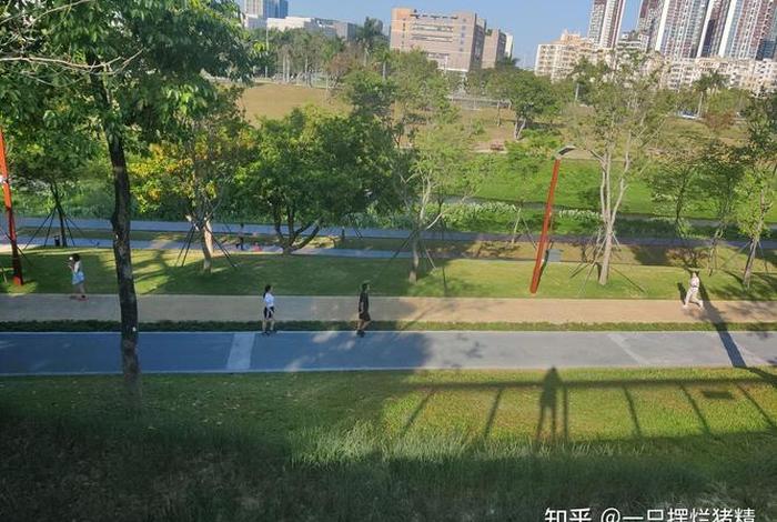 深圳生活咋样、深圳生活知乎 深圳生活咋样、深圳生活知乎