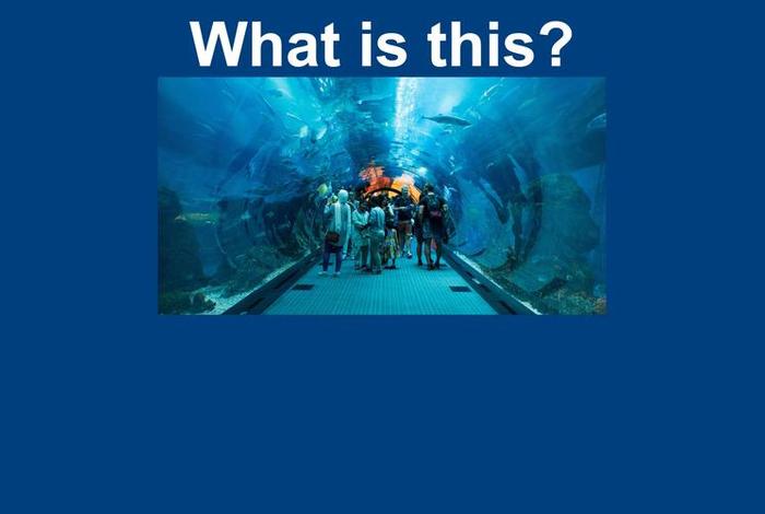 生活地带的英文 生活地带的英文怎么写 生活地带的英文 生活地带的英文怎么写