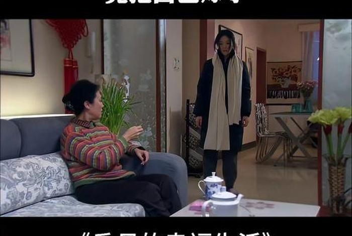 岳母的幸福生活电视剧，电视剧岳母幸福生活剧情介绍