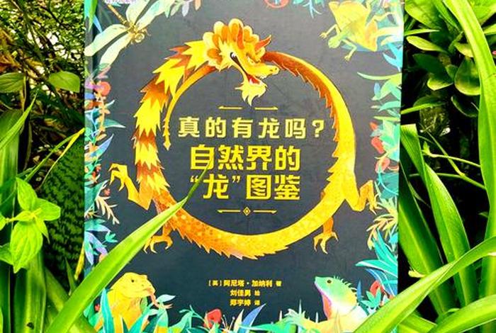 龙在哪里生活滋润 龙的生活主要地在哪里? 龙在哪里生活滋润 龙的生活主要地在哪里?