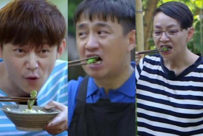 生活类综艺节目大全（生活类综艺节目大全视频）