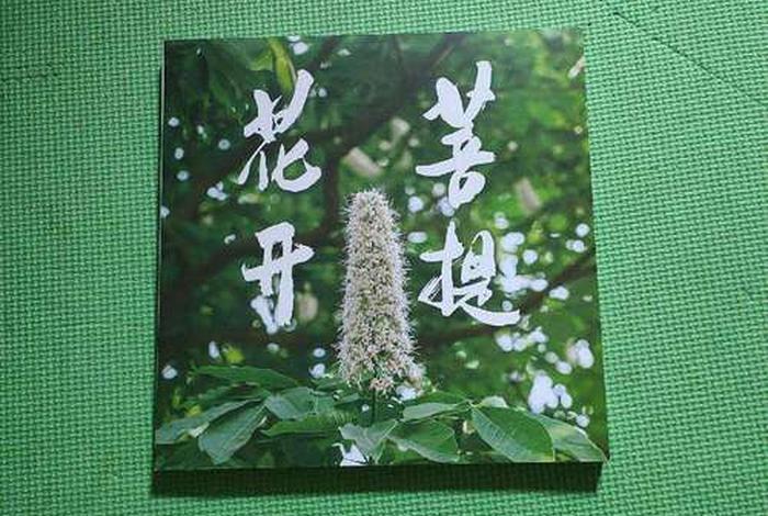 重生幸福生活np - 重生幸福生活 菩提花开