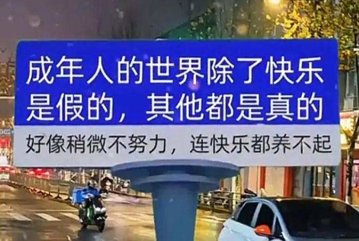 不太会生活 - 不会生活的人叫什么 不太会生活 - 不会生活的人叫什么