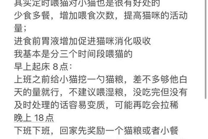 爱猫生活游戏 - 爱猫生活游戏中怎么给猫喂食