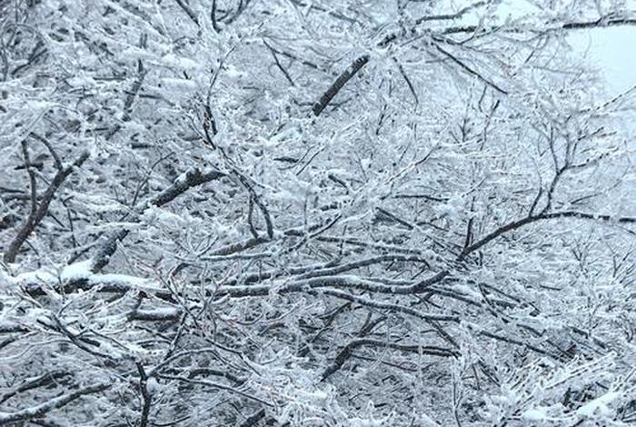 云端生活云端住区(云端生活是什么意思) 云端生活云端住区(云端生活是什么意思)