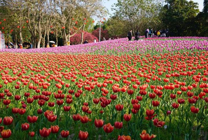 2021生活的新变化,2021年新的生活 2021生活的新变化,2021年新的生活