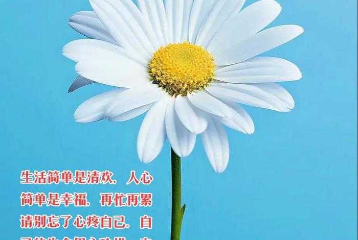 生命与生活幸福与快乐,生命与生活幸福与快乐的区别 生命与生活幸福与快乐,生命与生活幸福与快乐的区别