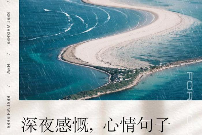 夜生活精彩句子发朋友圈、夜生活句子说说心情