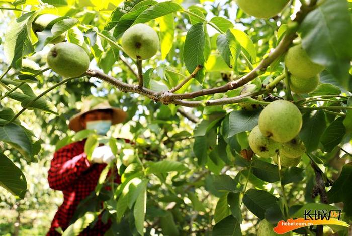 百度一下玉田生活网 - 玉田生活网首页