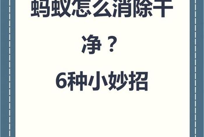 生活小技巧大全清洁蚂蚁（彻底清除蚂蚁的方法）