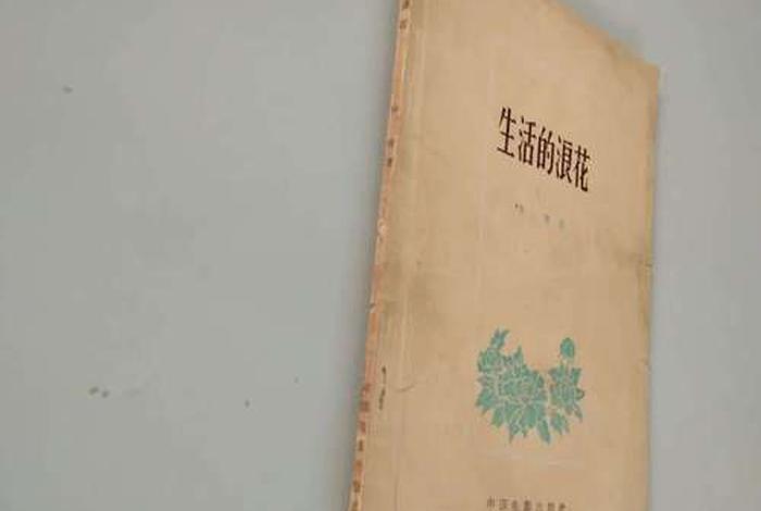 生活的浪花主演是谁（生活的浪花给我们带来什么和幸福）