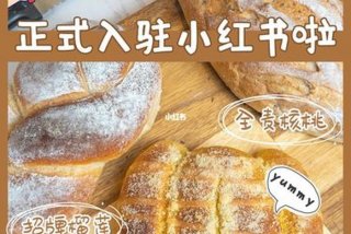 乐姿生活和雅之蜜尔的关系；乐姿生活怎么样