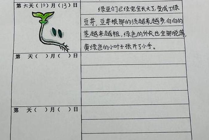 生活观察记录表10篇；生活观察记录表10篇怎么写