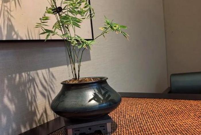 禅的生活文化，禅的生活美学