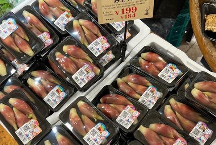 京都生活视频完整版;京都生活超市 京都生活视频完整版;京都生活超市