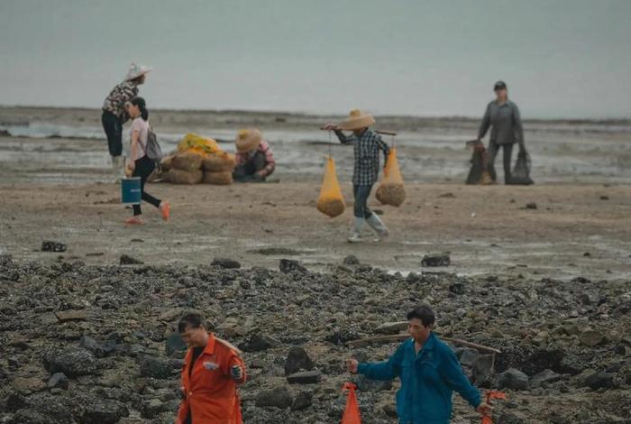 悠闲生活从赶海开始 - 赶海悠闲生活123 悠闲生活从赶海开始 - 赶海悠闲生活123