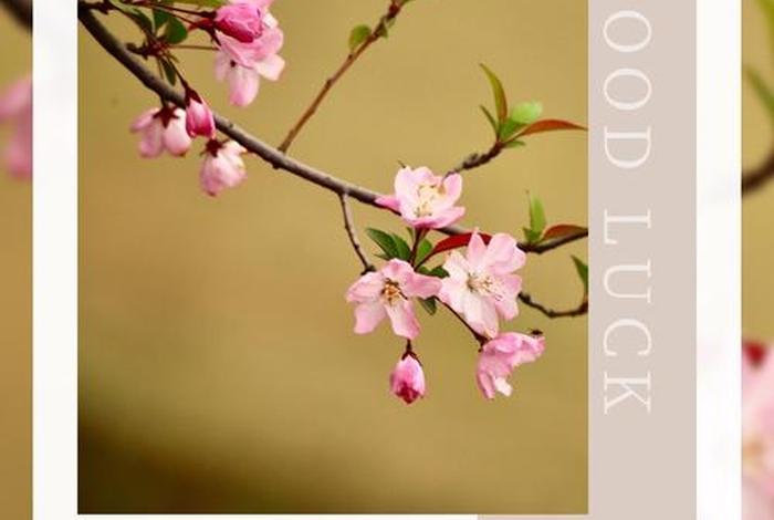 生活过成诗画后半句,生活过成诗的唯美图片 生活过成诗画后半句,生活过成诗的唯美图片