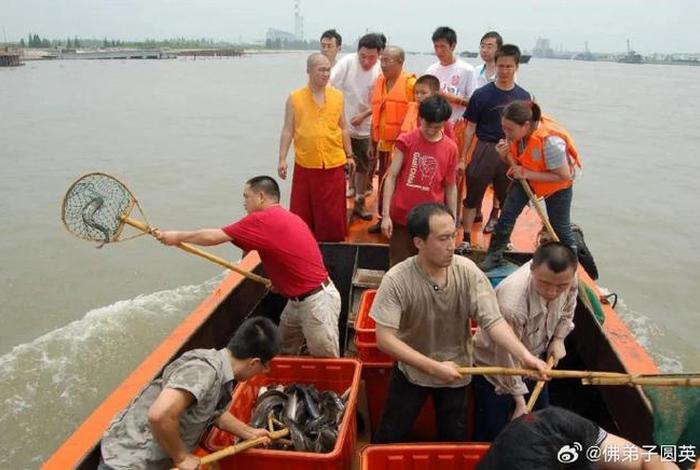 放生活动违法吗；放生是否违反法律规定